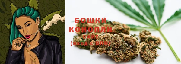 хмурый Верея