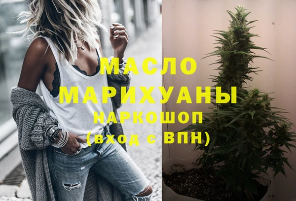 индика Волосово