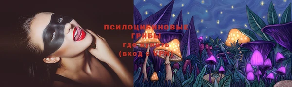 хмурый Верея