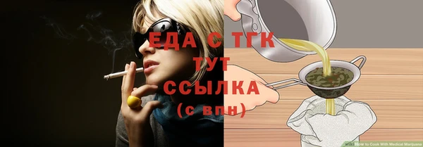 индика Волосово